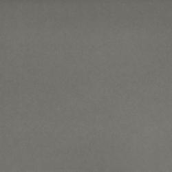 Belgian Buxy Grey Diresco