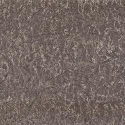 coastal grey caesarstone