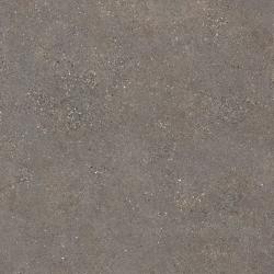 Neolith_Wulong