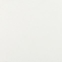 Pure White P&L