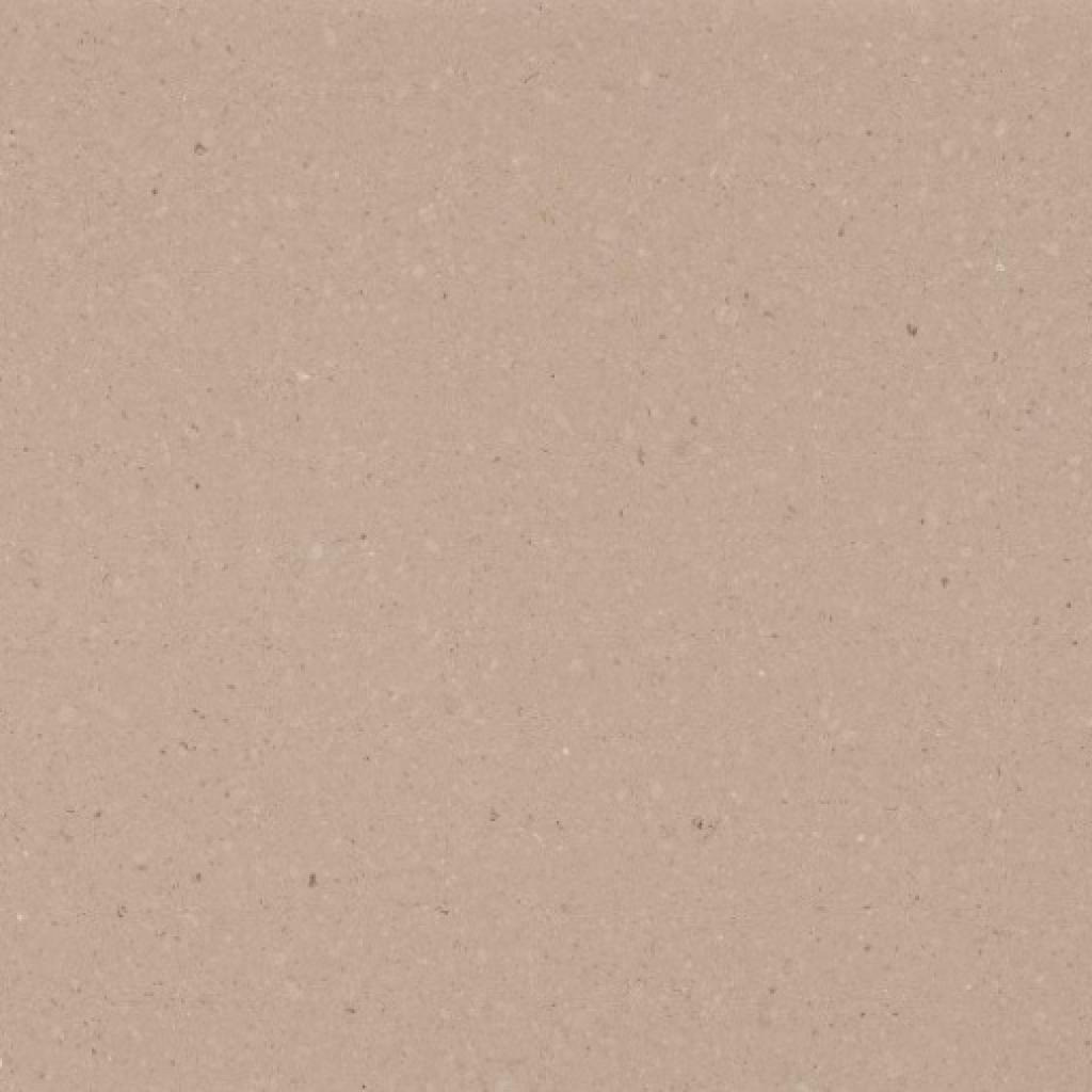 shitake caesarstone