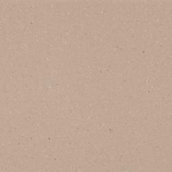 shitake caesarstone