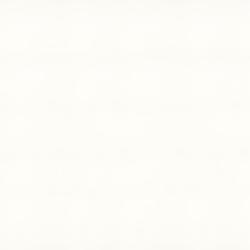 vivid white caesarstone